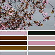 Cherry Blossom Palette
